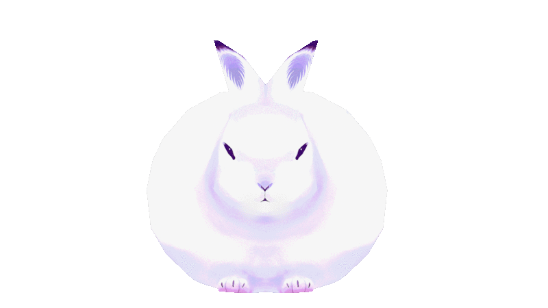 gif of a spinning white bunny