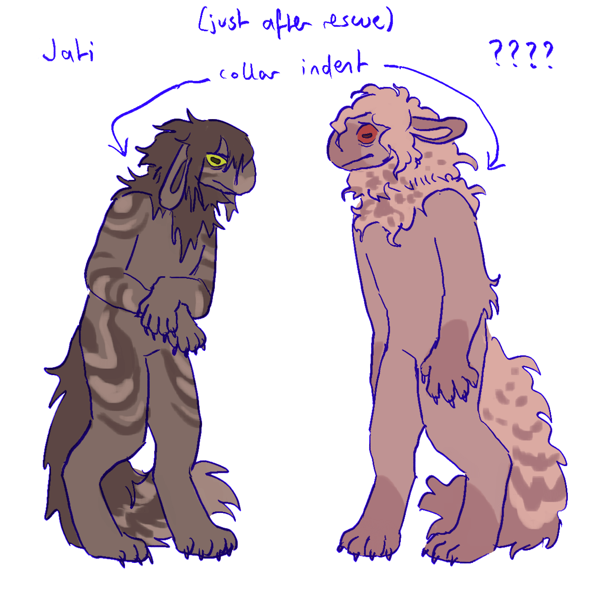 two more characters. the one on the left is a dark brownish gray venlil with a stripe pattern and green eyes. she is hunched over and looks disheveled. she is labeled 'jati'. the one on the right is a grayish brown venlil with reddish brown eyes. he has darker spots on his mane and tail. he looks scared. he is labeled with four question marks. both characters have arrows pointing towards an indent in their mane with the caption 'collar indent (just after rescue)'.