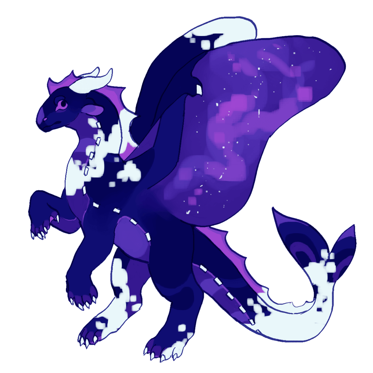 a dark blue and purple nightwing-seawing hybrid with white patches.